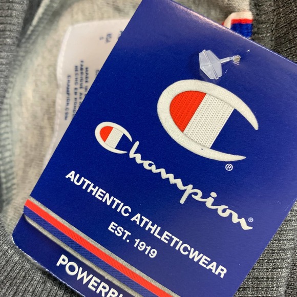 Champion Powerblend Logo Appliqu Fleece Sweatshirt in Gray - Picture 4 of 6